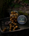 Herbs hard hookbaits.JPG