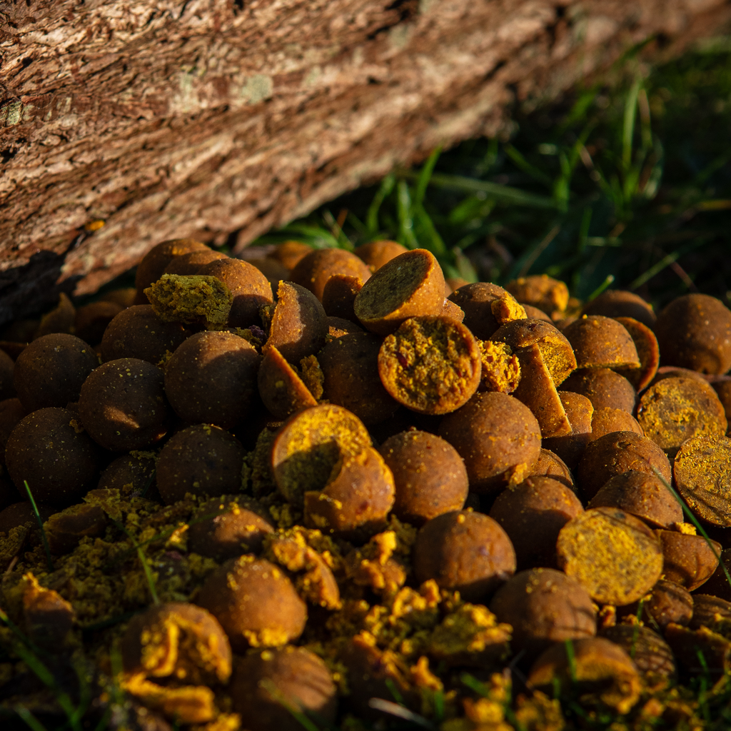 HERBS BOILIES
